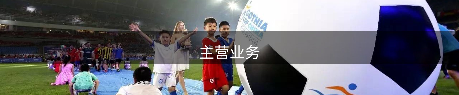 主营业务