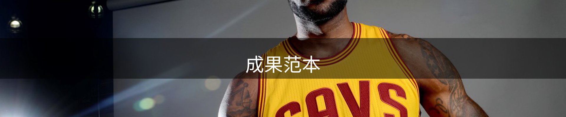 成果范本